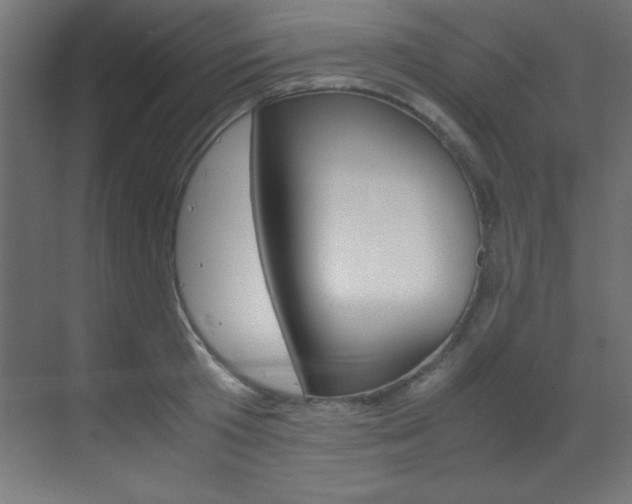 X0000070170801200605261003
