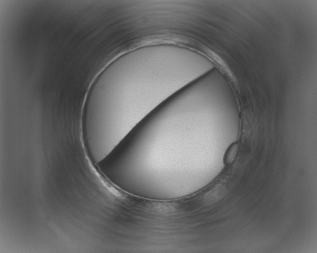 X0000070170802200605261003