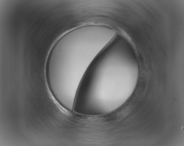 X0000070170803200605261003