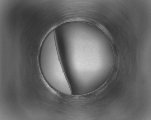 X0000070170805200605261003