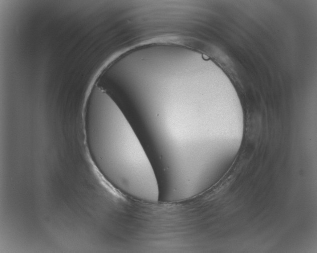 X0000070170808200605261003