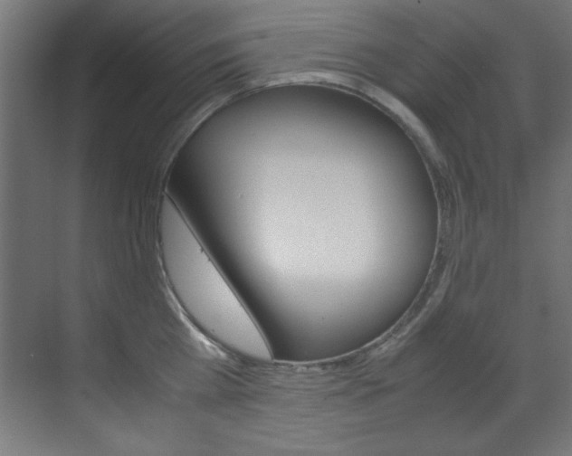 X0000070170809200605261003