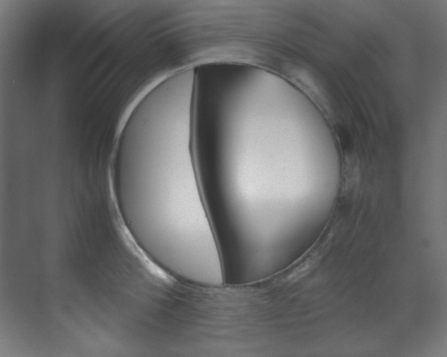 X0000070170812200605261003