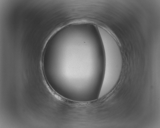 X0000070170813200605261003