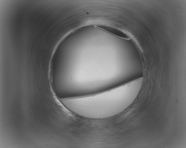 X0000070170815200605261003