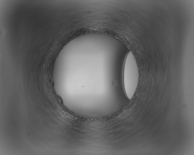 X0000070170817200605261002