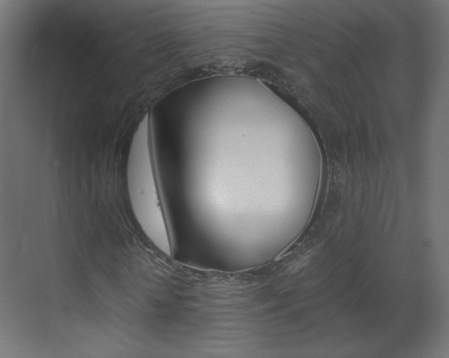 X0000070170818200605261002