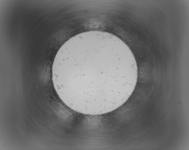 X0000070170820200605261002