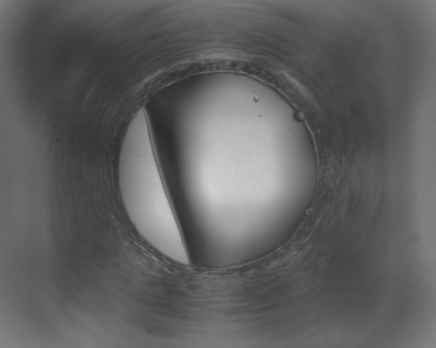 X0000070170821200605261002