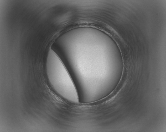X0000070170825200605261002