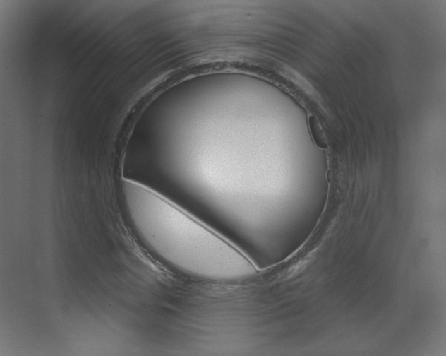 X0000070170826200605261002