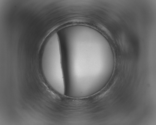 X0000070170829200605261002