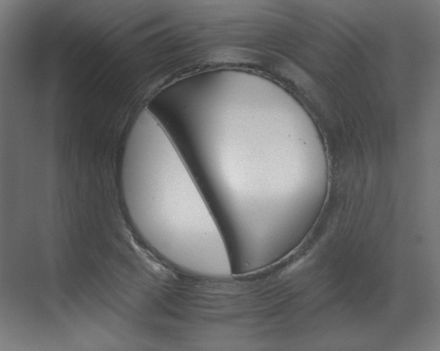 X0000070170833200605261002