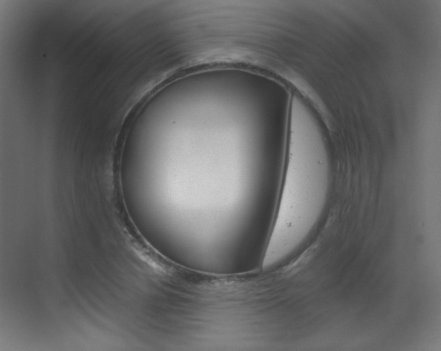 X0000070170834200605261002