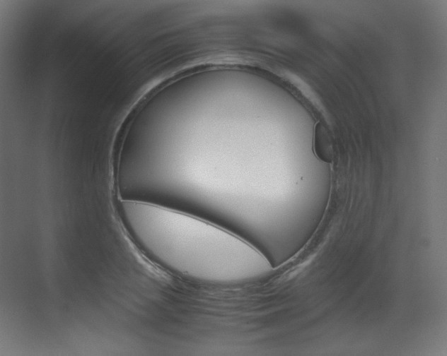 X0000070170837200605261002