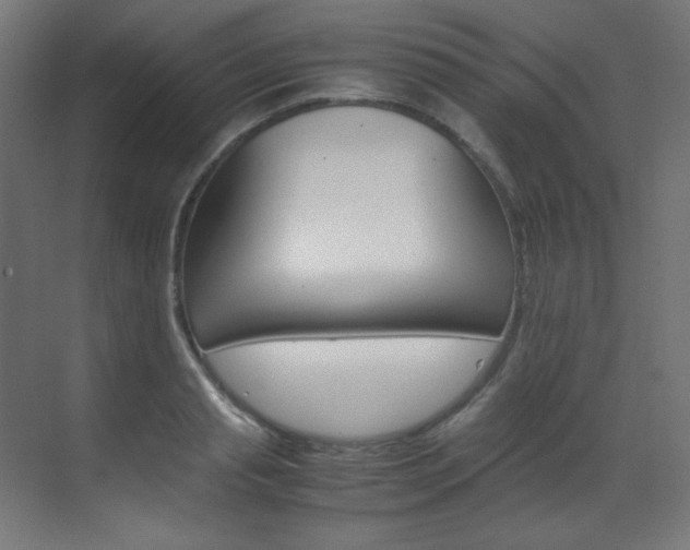 X0000070170845200605261002