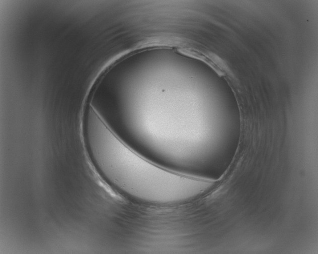 X0000070170846200605261002