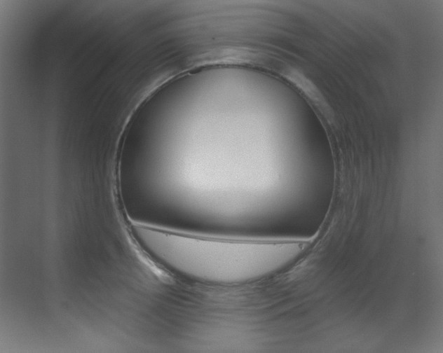 X0000070170850200605261002