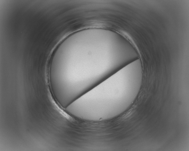 X0000070170851200605261002