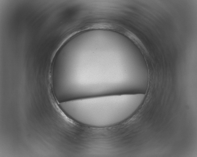 X0000070170852200605261002