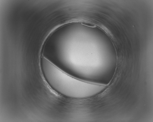 X0000070170854200605261003
