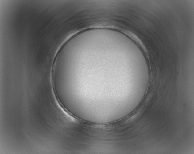 X0000070170855200605261003