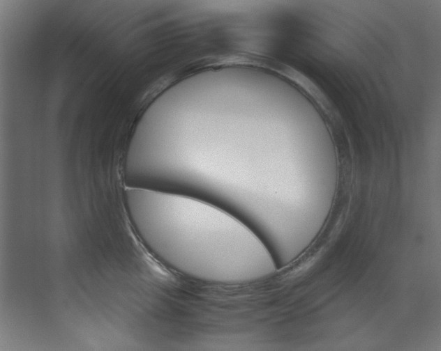 X0000070170857200605261003