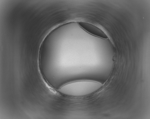 X0000070170861200605261003