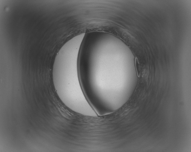 X0000070170868200605261002