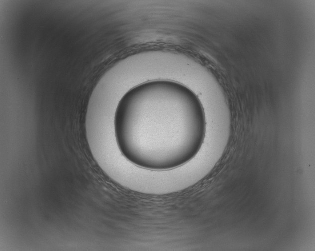 X0000070170869200605261002