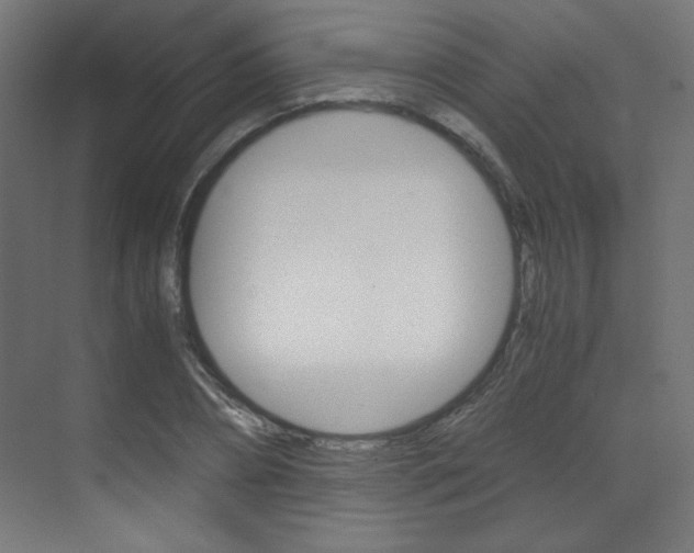 X0000070170882200605261002