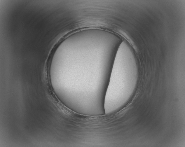 X0000070170883200605261002