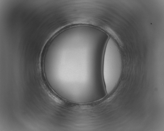 X0000070170884200605261002