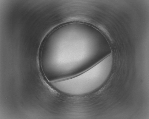 X0000070170888200605261001