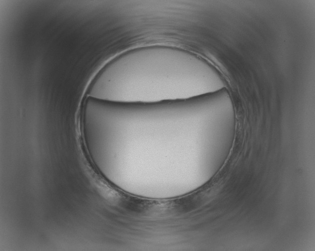 X0000070170891200605261001