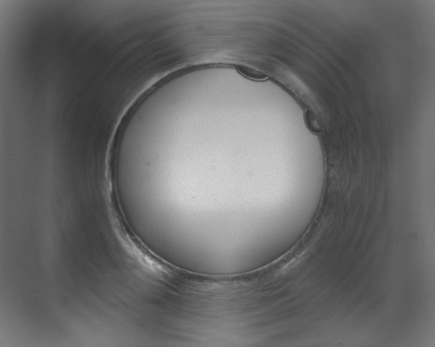 X0000070170892200605261001