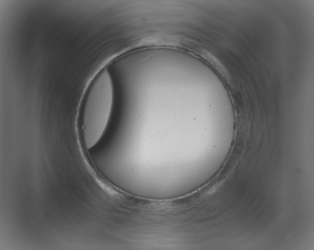 X0000070170893200605261001