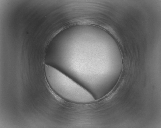 X0000070170897200605261001