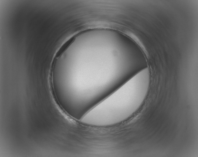 X0000070170901200605261001
