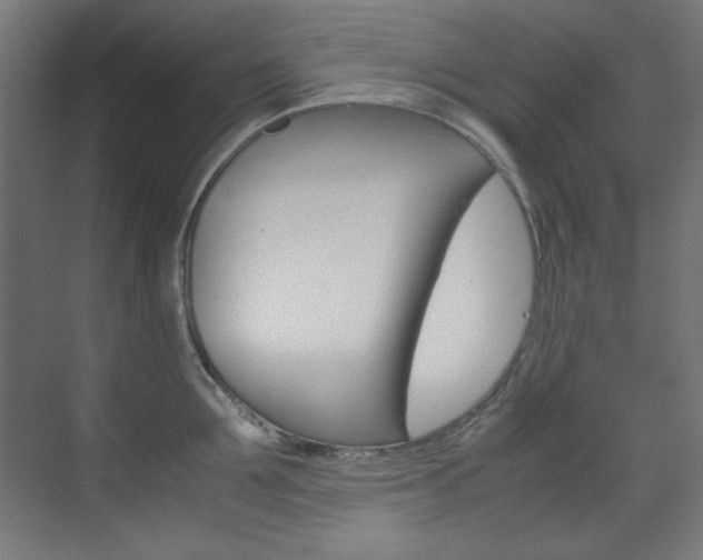 X0000070170907200605261001