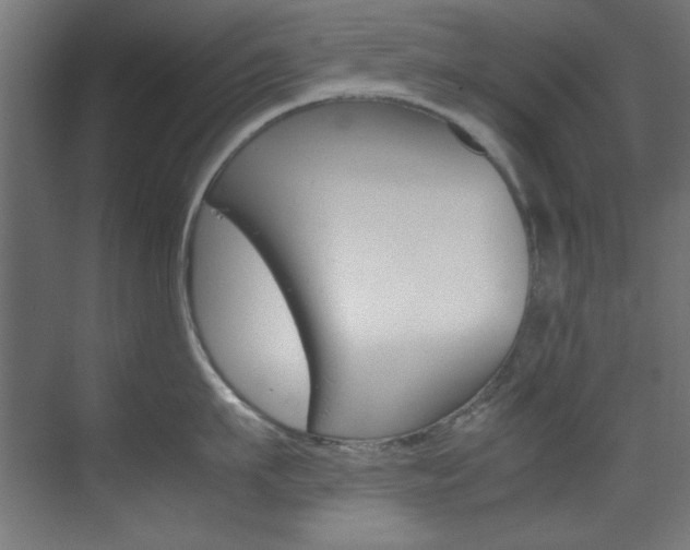 X0000070170911200605261001