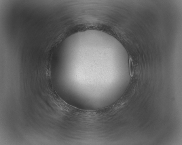 X0000070170916200605261000