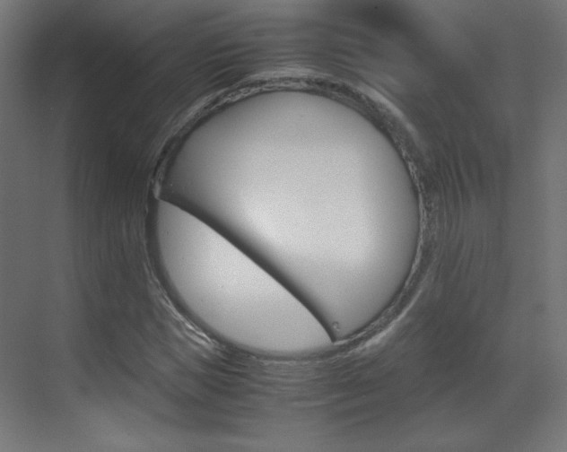 X0000070170921200605261000
