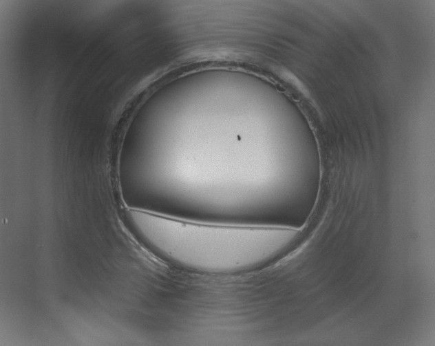 X0000070170922200605261000