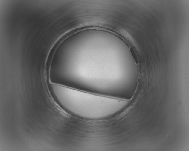 X0000070170924200605261000