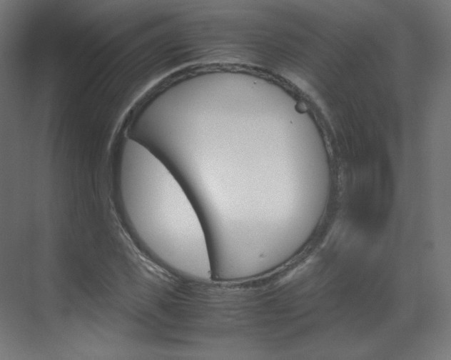 X0000070170925200605261000