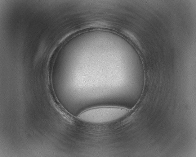 X0000070170931200605261001
