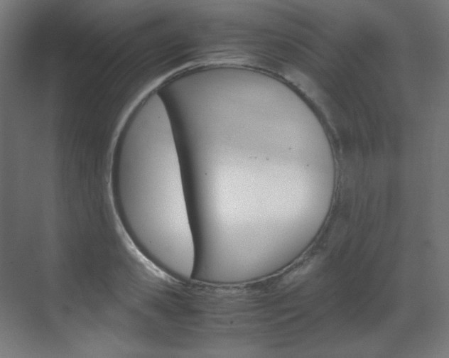 X0000070170941200605261001