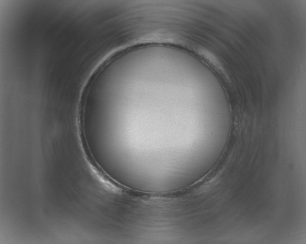 X0000070170942200605261001