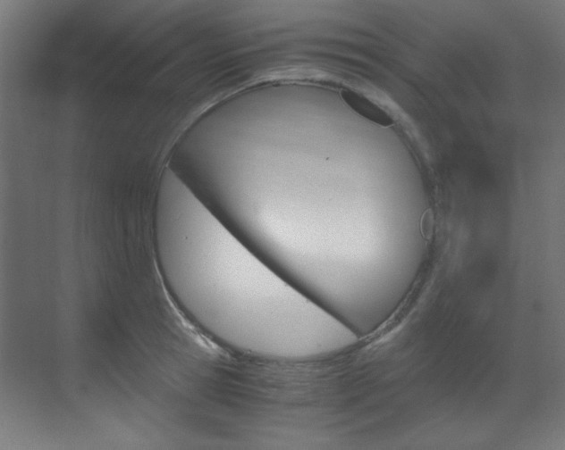 X0000070170945200605261001